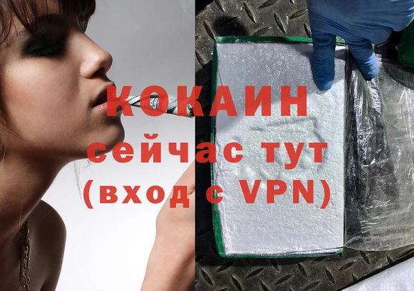 МДПВ Карпинск