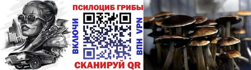Псилоцибиновые грибы Psilocybine cubensis  продажа наркотиков  Белореченск 